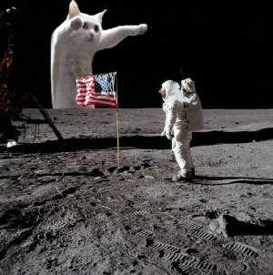 Longcat Moonlanding.jpg